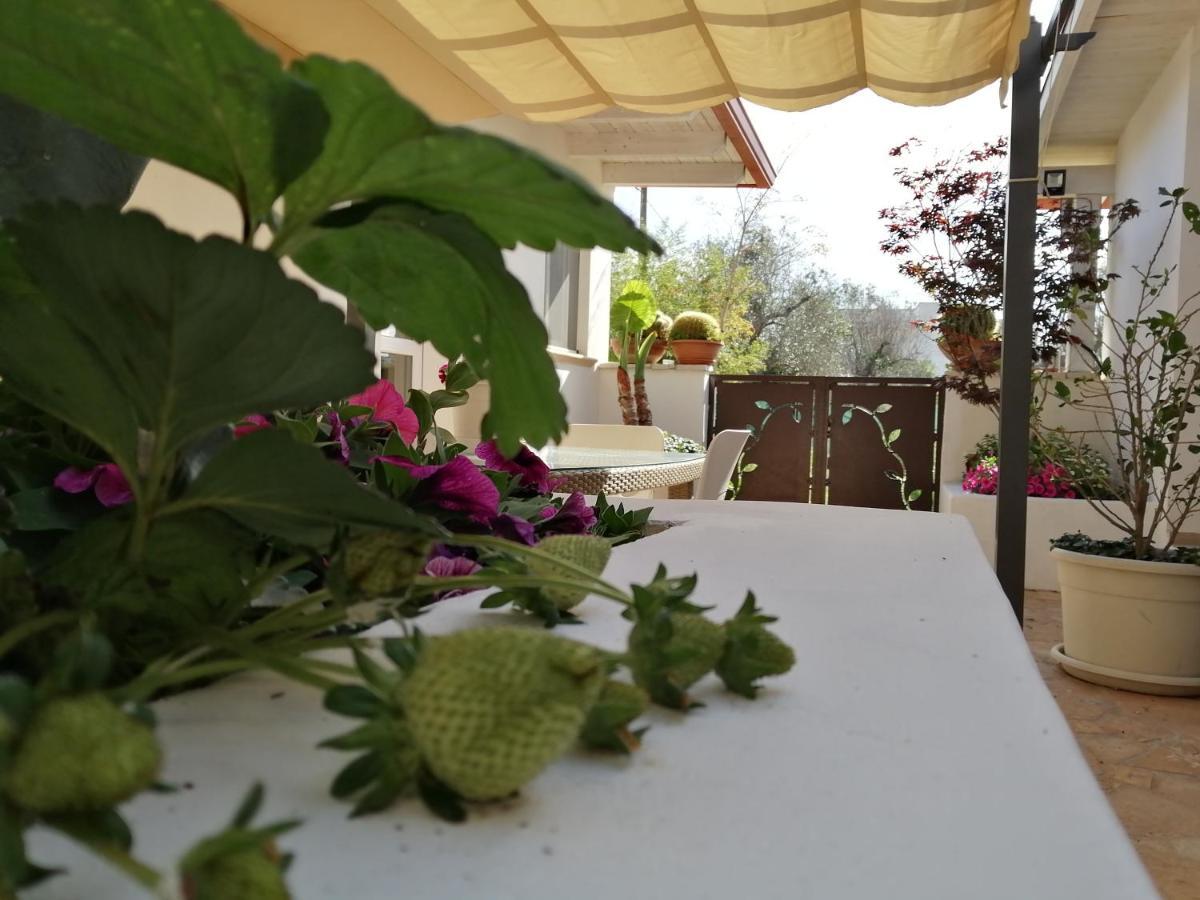 Bed & Breakfast Raggio Di Sole Parcheggio Privato Porto Cesareo